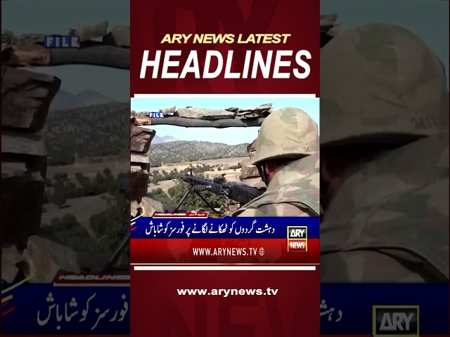 ⁣#11pmheadlines #ranasanaullah #ptiandpmlntalks #kpk #ispr #Teddybearsrain #icehockey #short