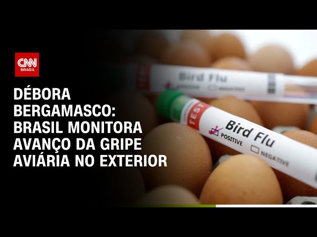 ⁣Débora Bergamasco: Brasil monitora avanço da gripe aviária no exterior | BASTIDORES CNN