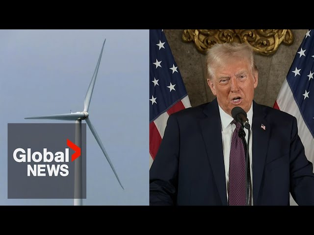 ⁣Trump says windmills are "driving the whales crazy" in tirade against wind energy