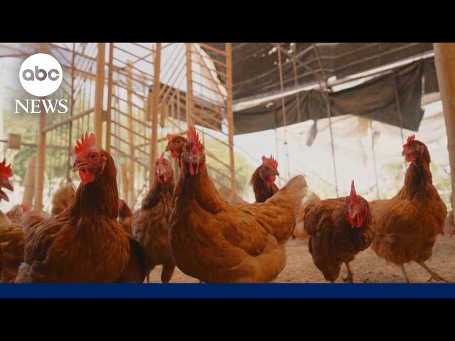 ⁣1st confirmed human death from bird flu in US