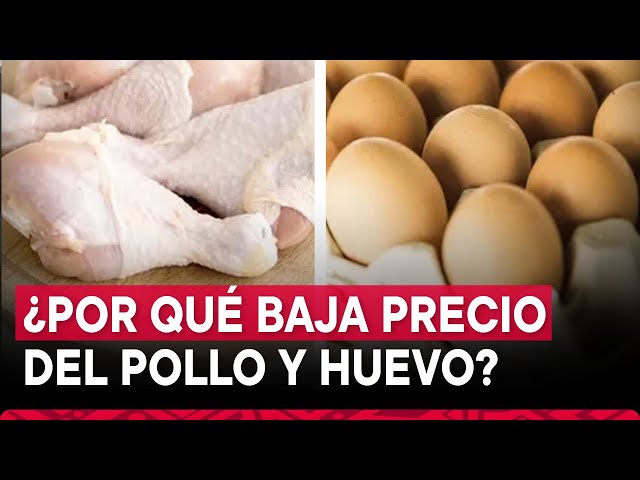 ⁣Precio del pollo y huevo registra disminución en centros de distribución, informa el Midagri