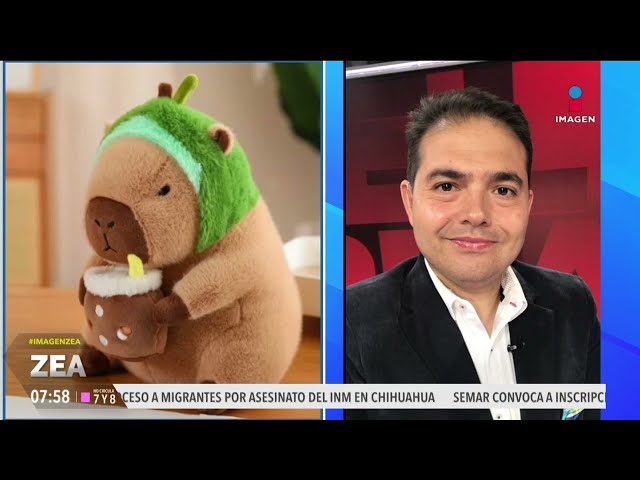 ⁣Capibaras, la moda entre niños y jóvenes | Noticias con Francisco Zea