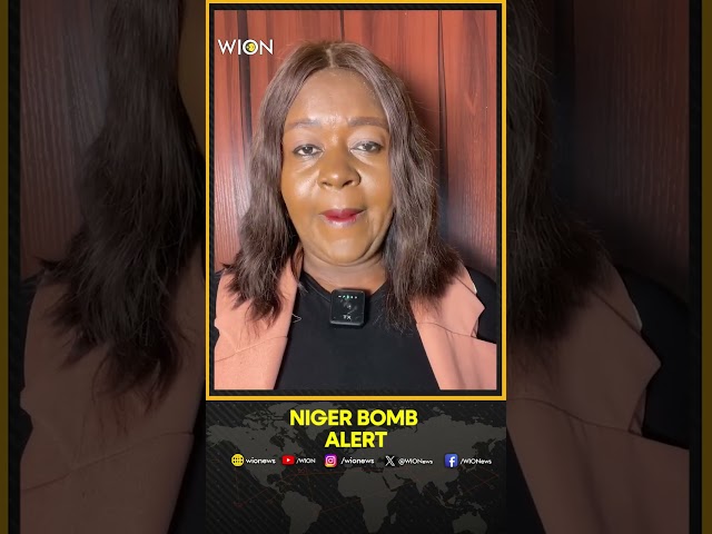 ⁣Nigeria Government Issues Bomb Alert, Urge Farmers to Avoid Their Farms | WION Shorts