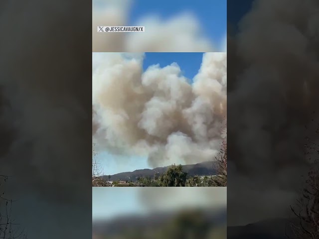 ⁣Brush fire burns in Pacific Palisades as Santa Ana winds blast Southern California