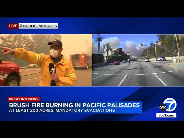 ⁣Palm trees burn along Sunset Boulevard as brush fire spreads through Pacific Palisades