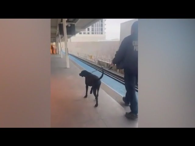 ⁣Chicago police officers respond to bomb threats on CTA Red Line