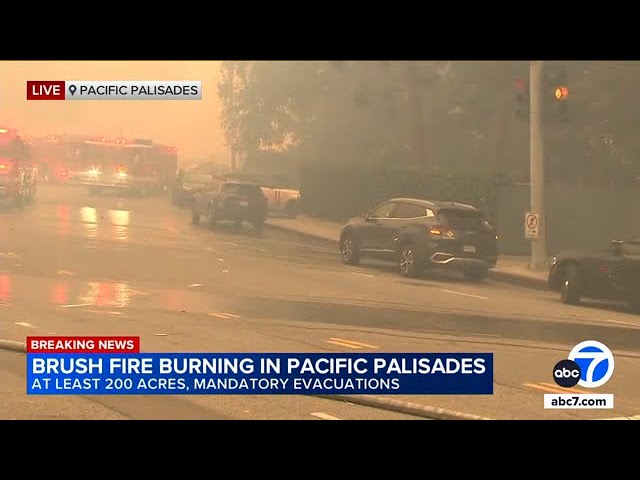 ⁣Drivers ditch cars along Sunset, flee on foot from Pacific Palisades fire