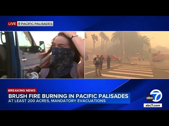 ⁣Woman describes getting hit with flaming palm fronds while escaping Palisades fire