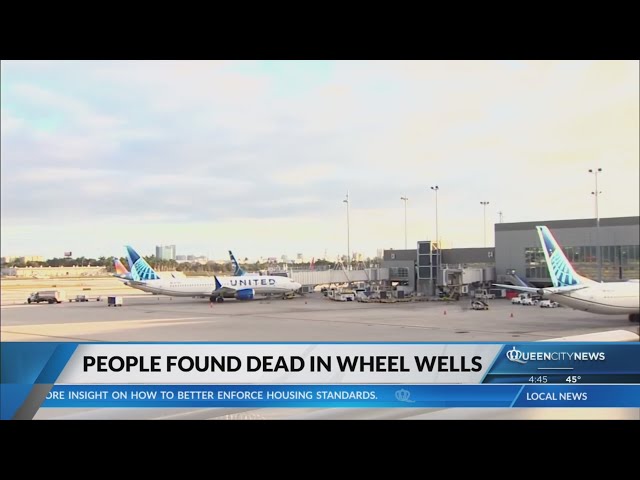 ⁣2 bodies found in the landing gear of JetBlue plane