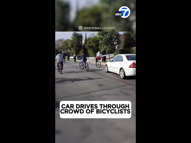 ⁣Driver nearly hits bicyclists during road-rage incident in Mid-City