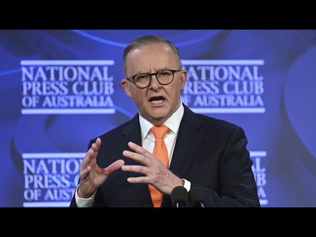 ⁣Albanese not paying attention to what Australians are ‘screaming about’