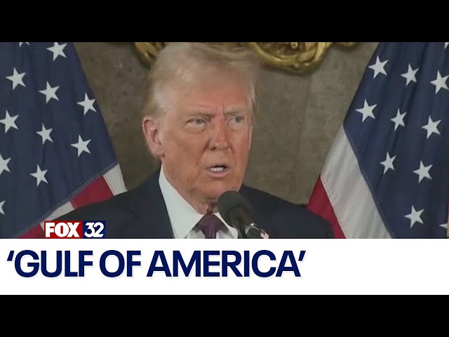 ⁣'Gulf of America': Trump says he plans to change the name of the Gulf of Mexico