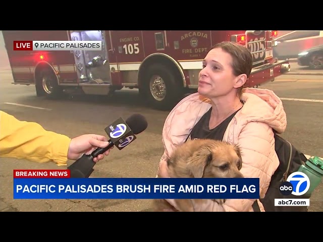 ⁣Palisades fire: LAPD come to aid of woman, child during intense moment on live TV