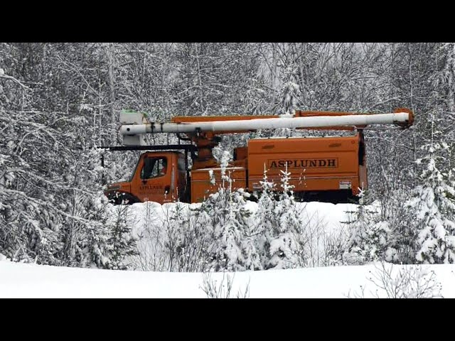 ⁣Hundreds of customers in Cape Breton still without power after heavy snowfall