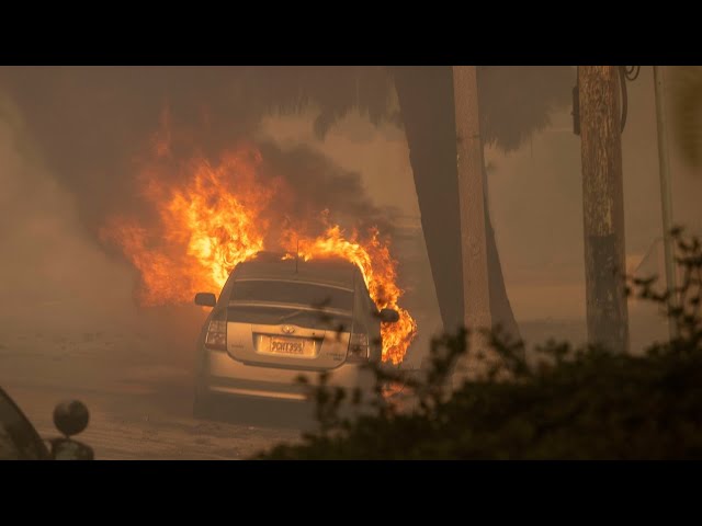 ⁣Breaking News: Fast-moving Palisades fire forces evacuations in Southern California