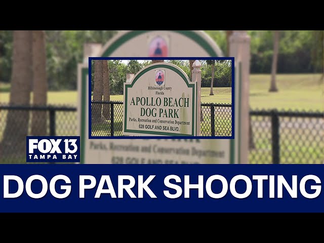 ⁣Dog owner shoots and kills another dog at Apollo Beach dog park