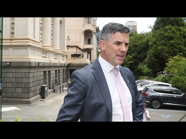 ⁣Brad Battin ‘missed a trick’ by not promoting Moira Deeming in new cabinet