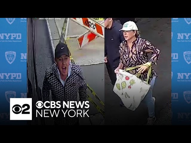 ⁣NYPD seeks suspects in $163,000 jewelry theft