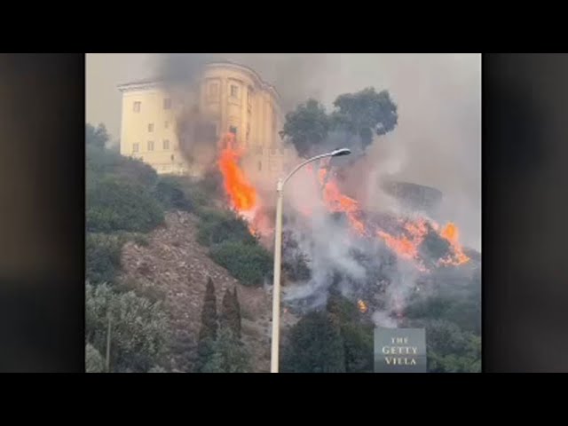 ⁣Video shows trees, brush on Getty Villa Museum grounds on fire