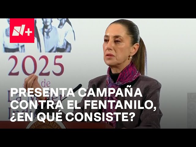 ⁣Sheinbaum presenta campaña "El fentanilo te mata: Aléjate de las drogas" - En Punto