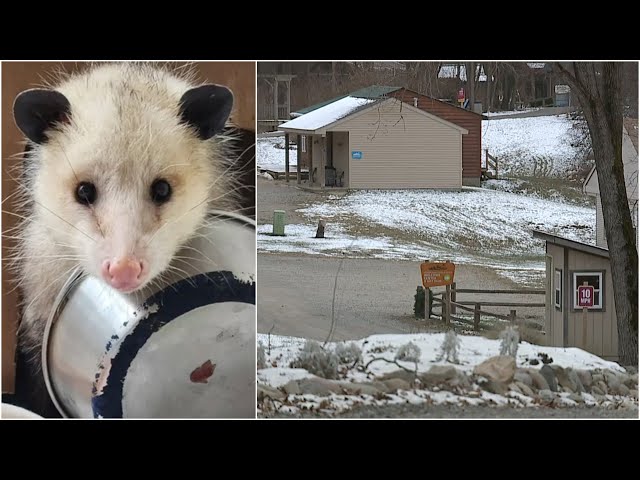 ⁣Howell Nature Center raises about $140K since financial woes, looks to successful 2025