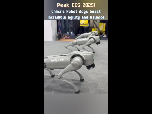 ⁣Peak CES 2025! China's Robot dogs boast incredible agility and balance