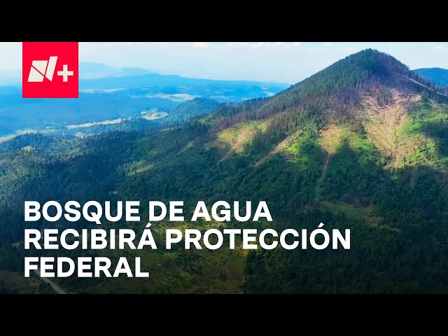 ⁣Autoridades mexicanas firman convenio de colaboración para defender el Bosque de Agua - En Punto