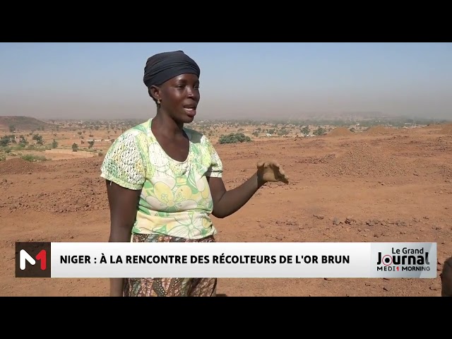 ⁣Niger : à la rencontre des récolteurs de l´or brun