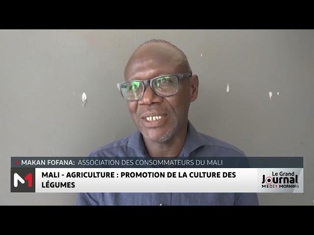 ⁣Agriculture au Mali : promotion de la culture des légumes