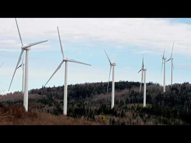 ⁣‘Our energy prices are crazy’: Renewable energy ‘pipe dream’ blasted