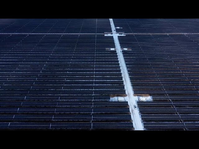 ⁣China's largest tidal flat photovoltaic power station starts operation