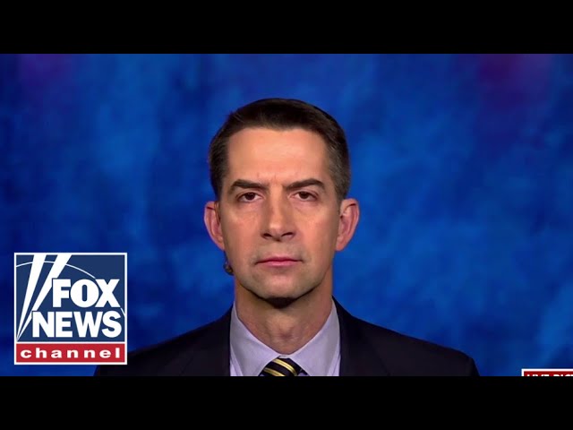 ⁣Prisoners at Guantanamo are the ‘worst of the the worst’: Sen. Tom Cotton