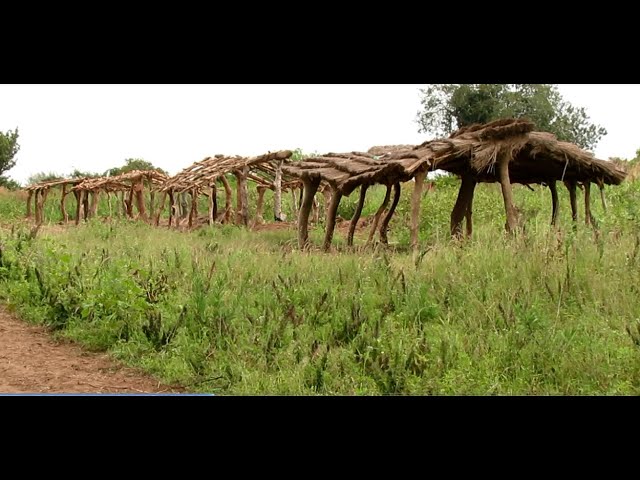 ⁣KATAKWI PARENTS UNITE TO ESTABLISH A COMMUNITY SCHOOL, CITING THE  INACCESSIBILITY OF GOV'T SCH