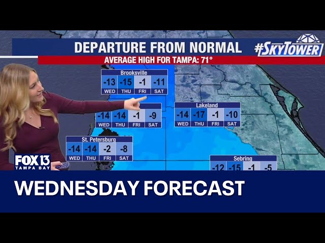 ⁣Tampa weather | Wednesday forecast