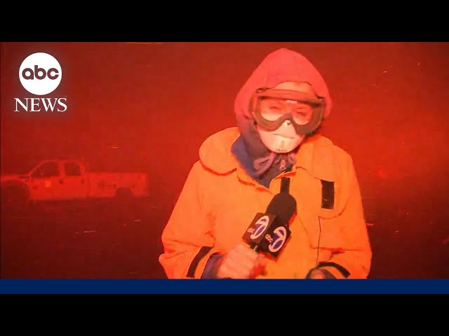 ⁣TV reporter battles ‘vicious’ winds amid LA fires