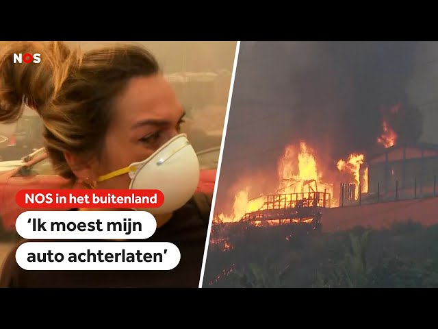 ⁣Natuurbrand teistert wijk Los Angeles, meerdere huizen in brand