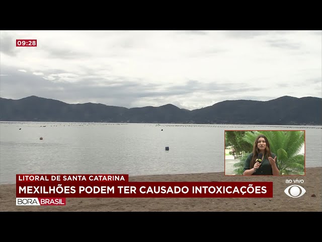 ⁣Mexilhões podem ter causado intoxicações em Santa Catarina