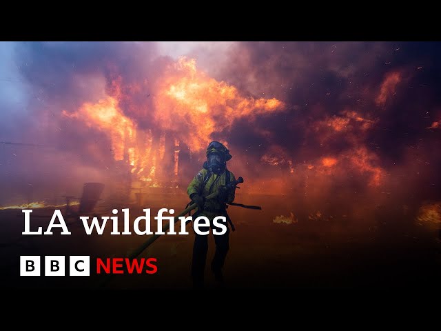 ⁣Thousands told to abandon Los Angeles homes as three wildfires rip through suburbs | BBC News