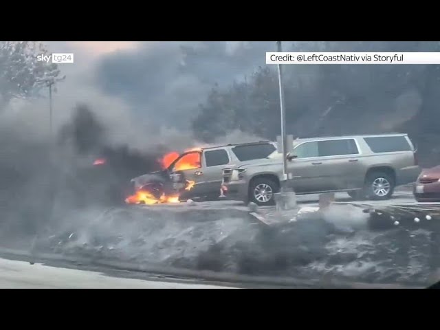 ⁣Incendi Los Angeles, i video dall'area di Pacific Palisades