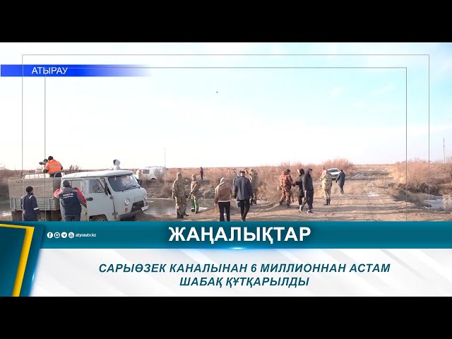 ⁣САРЫӨЗЕК КАНАЛЫНАН 6 МИЛЛИОННАН АСТАМ ШАБАҚ ҚҰТҚАРЫЛДЫ