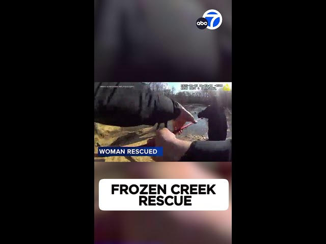 ⁣New Jersey firefighters rescue woman and 2 dogs from frozen creek