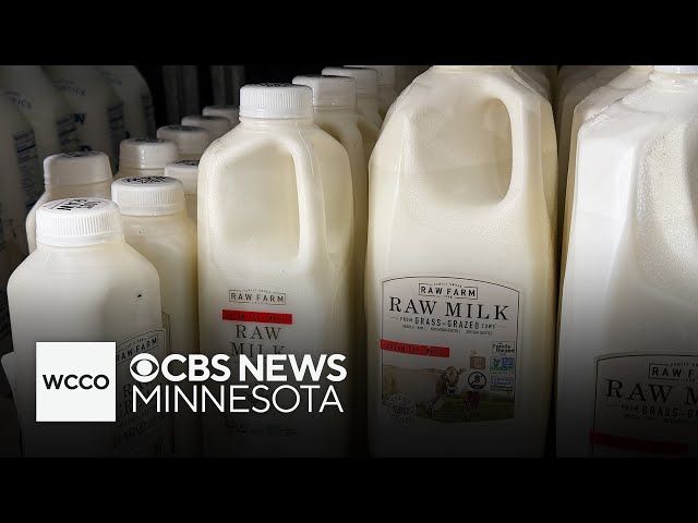 ⁣Raw milk: Separating the facts from the fears