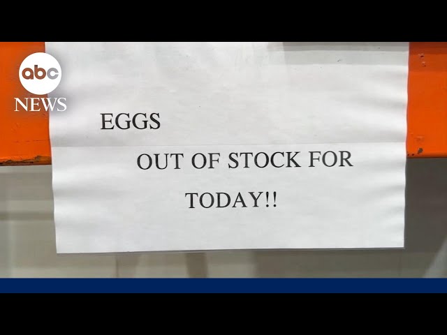 ⁣Egg prices skyrocket amid bird flu spread