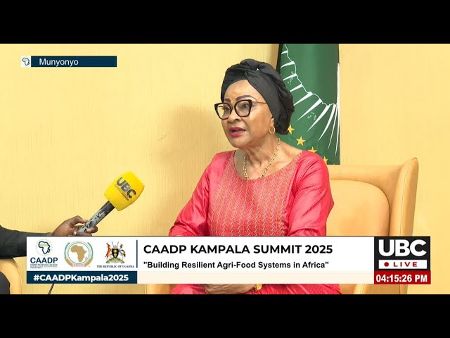 ⁣CAADP SUMMIT: H.E AMB. JOSEFA SACKO EXPOUNDS ON THE ESSENCE OF DIVERSIFYING AGRICULTURE