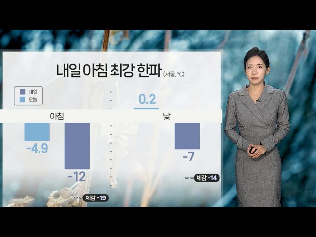 ⁣[날씨] 내일 올겨울 최강 추위…충청·호남 많은 눈 / 연합뉴스TV (YonhapnewsTV)