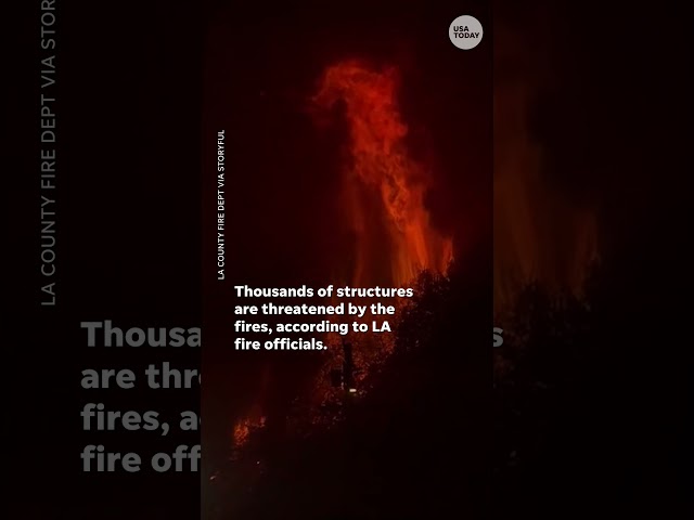 ⁣Thousands evacuated in Los Angeles as wildfires burn across the county #Shorts