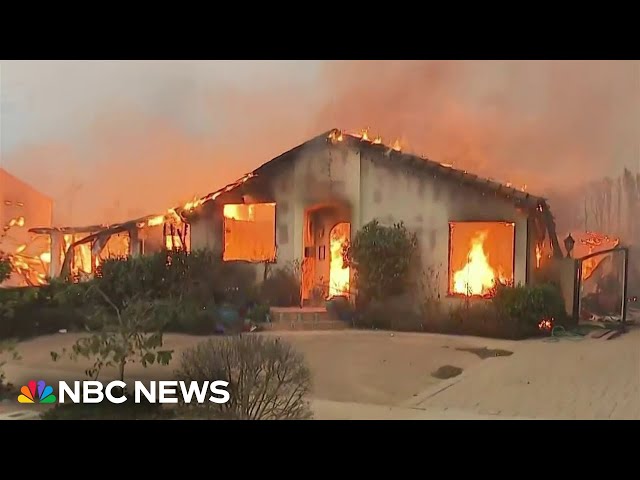 ⁣Daylight reveals dozens of homes destroyed by Palisades Fire