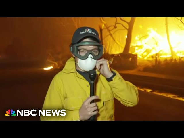 ⁣'Catastrophic': NBC News reporter explains how devastating the Palisades Fire is