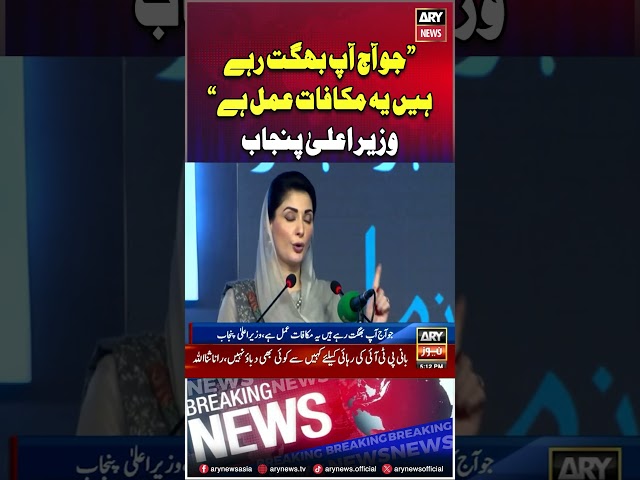 ⁣#maryamnawaz #cmpunjab #punjab #zamanpark #imrankhan #ptiprotest #pti #breakingnews #arynews