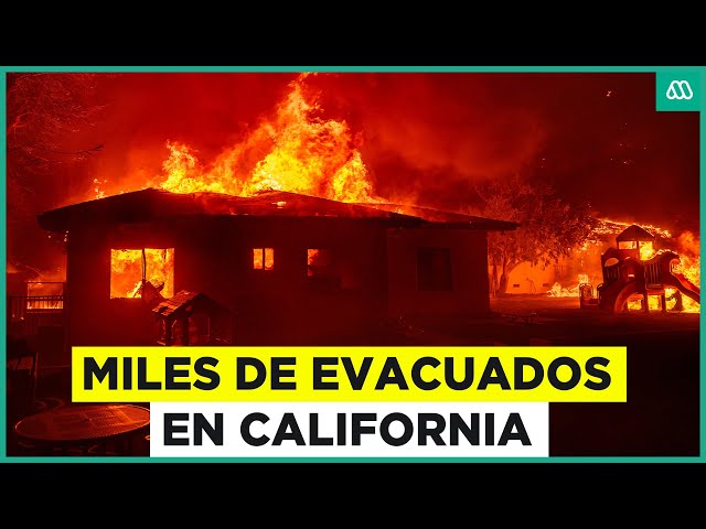 ⁣Incendios forestales en California: Miles de evacuados en Hollywood